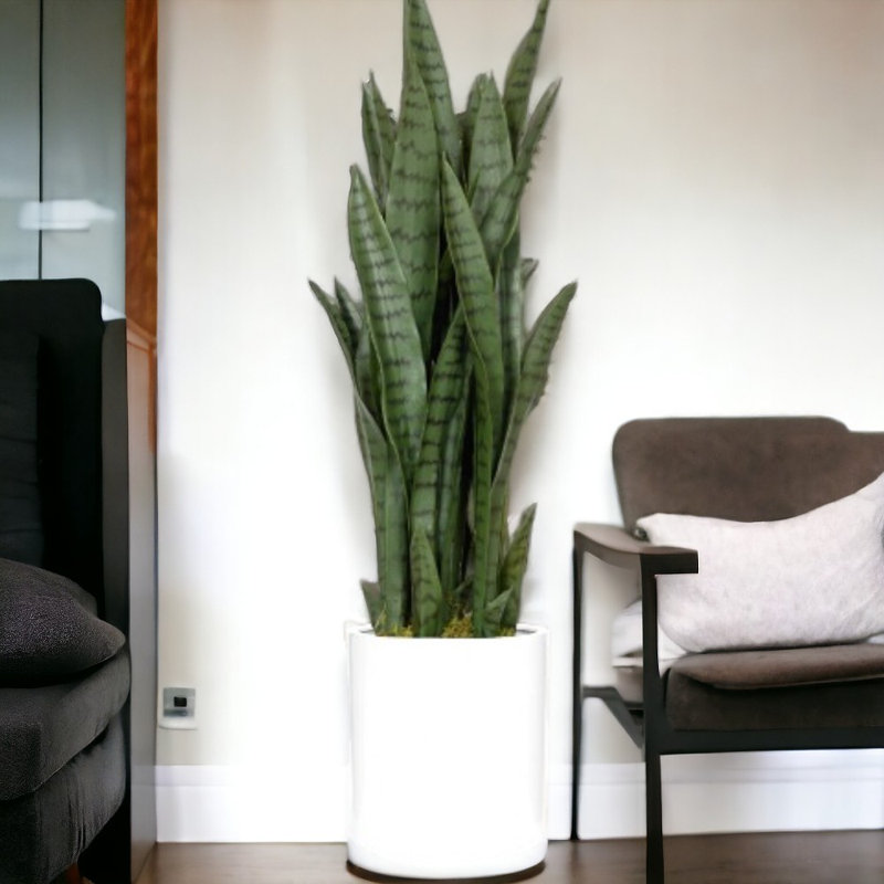 Handmade Pot Planter, Glossy White, 17'' H X 17'' W X 17'' D