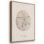 Shore Treasure Study I 3 pièces-97711696-97711694