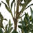 6' Artificial Olive Tree With Pot-1153147974