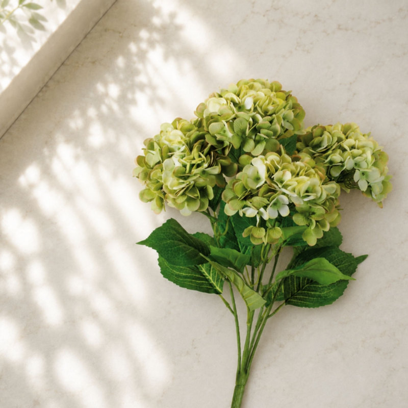 Hortensia floral (ensemble de 2), Vert