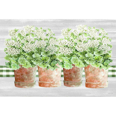 «Welcomeing Geraniums II»