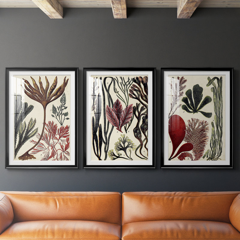 Coral & Seaweed Montage I - Impression sur mesure encadrée de qualité supérieure - 3 pièces, Noir, H 21 po x l 30 po