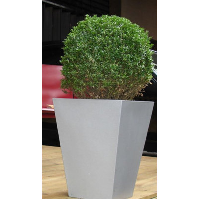 Vrtanes Geo Fiberglass Cachepot