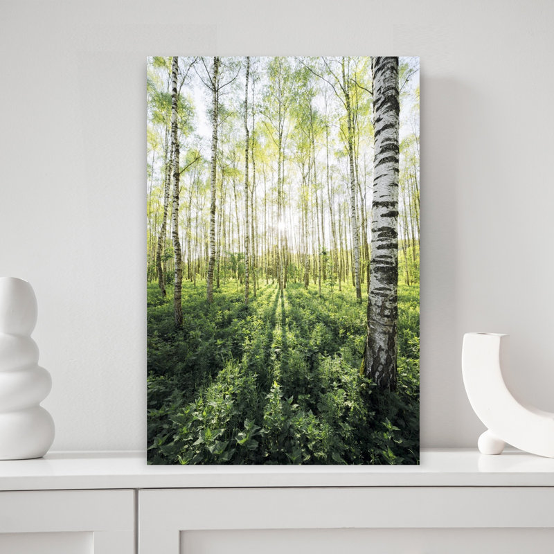 Impression d'art mural Birch Grove, 18" H x 12" W