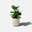 Pot à fleurs rond Demi Series-83894853-83894855-97676810