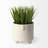 Ema Ceramic / Porcelain Table Vase