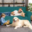 Housse pour fauteuil-1511508527