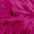 Fuchsia est en rupture de stock