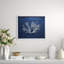 Sealife Print