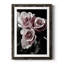 Rose noire I - photographie-1052725965-1052725966