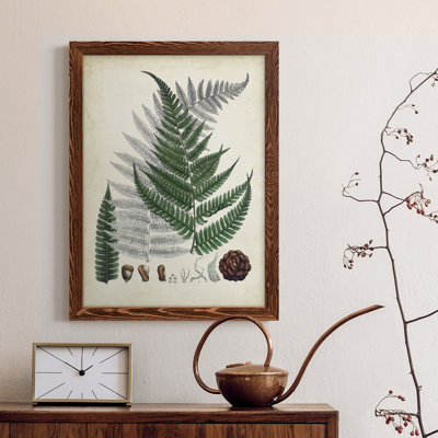 " Collected Ferns II " Painting
