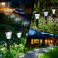 8 Pack Solar Outdoor Lights, Waterproof Cool White Pathway Lighting for Yard, Garden and Patio