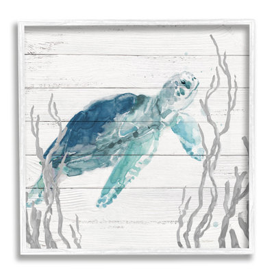 Sea Turtle