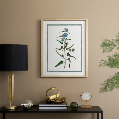 Botanical I Framed Print - Solid Wood