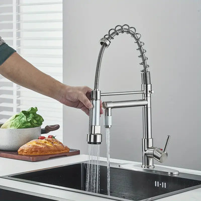 Robinet d'évier de cuisine en nickel brossé avec douchette extractible