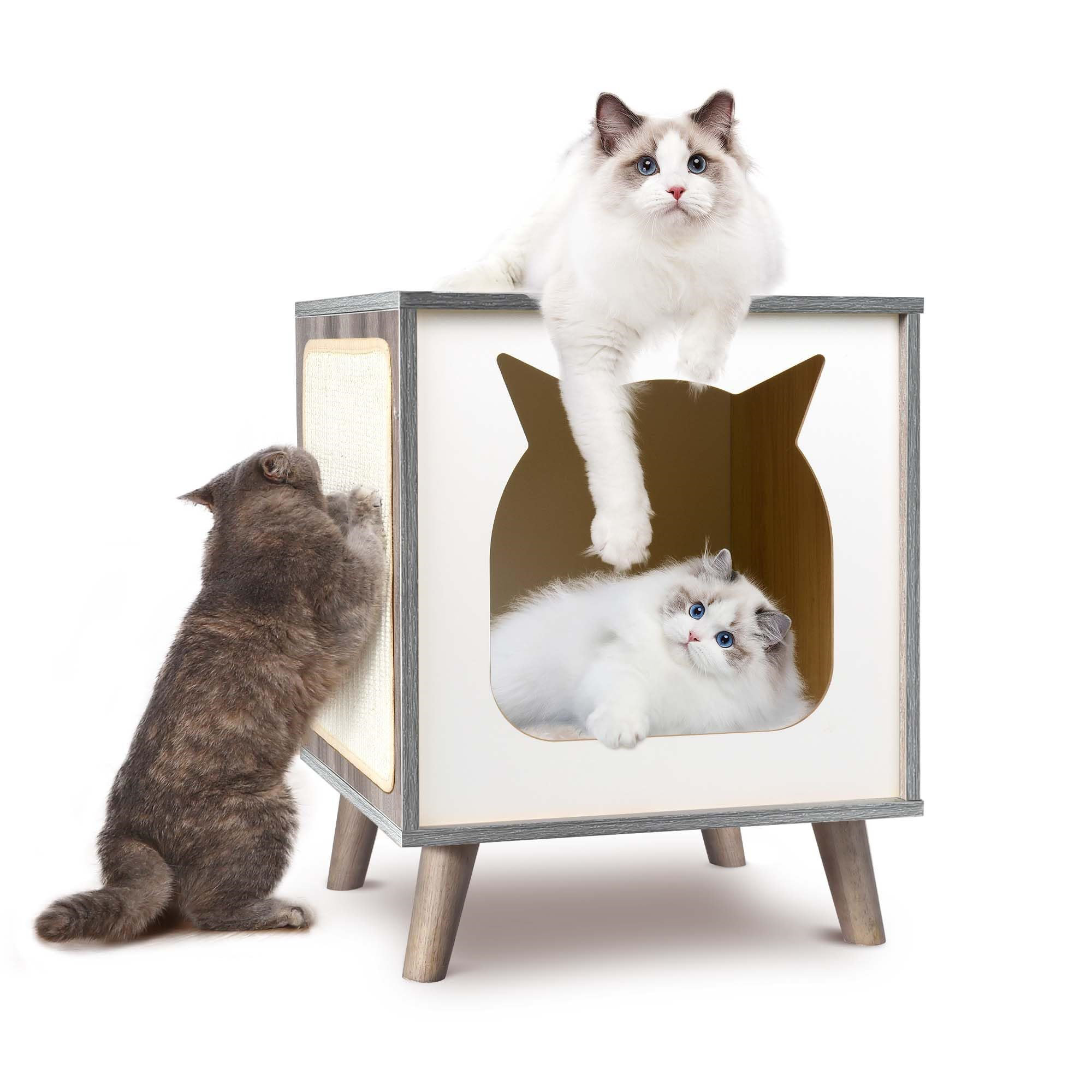 Archie & Oscar™ Cat Condo for Large Indoor Cats Wood Kitten Hidden Cave