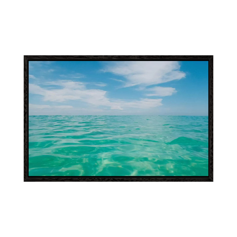 Florida Water III by Bethany Young - Print on Canvas, Black Framed, 45.72cm H x 66.04cm W x 3.81cm D