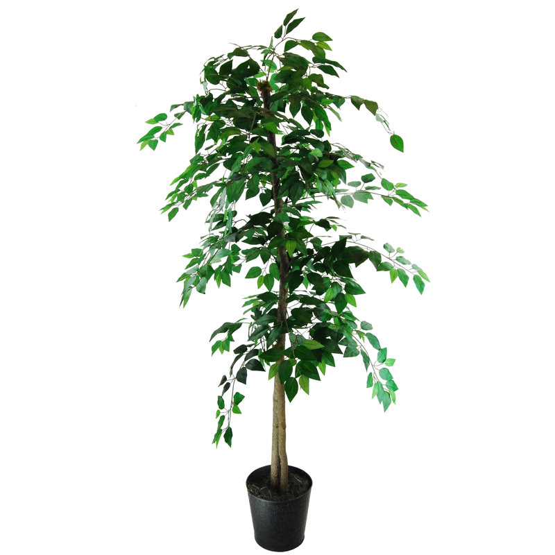 Ficus artificiel en pot 62 po Wilmot