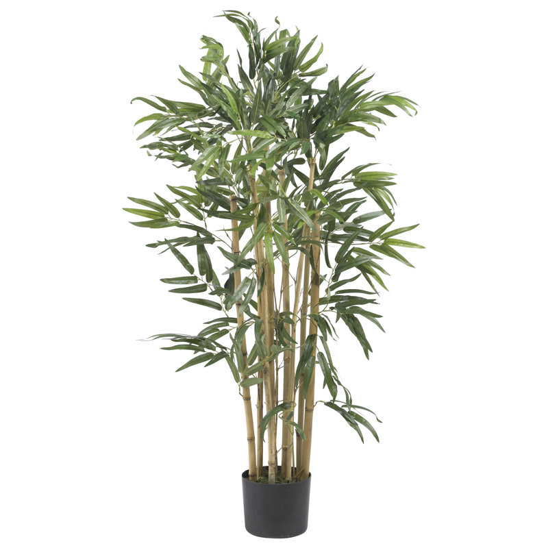 Faux Bamboo Tree in Pot, 36" H  x 21" W x 21" D