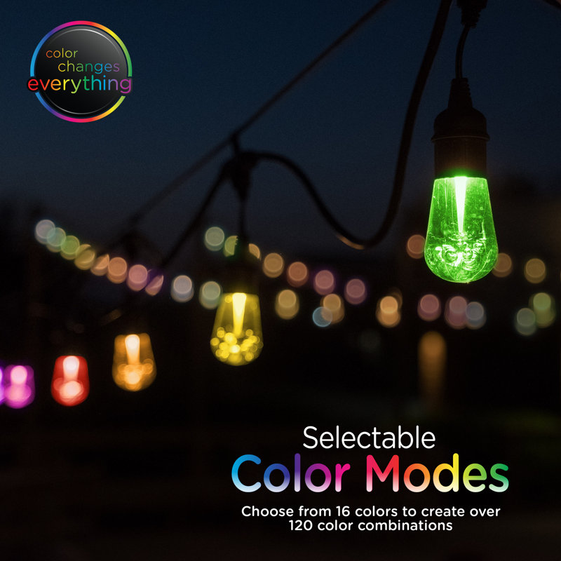 Enbrighten Seasons 48-ft Outdoor Color-Changing Cafe Lights