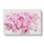 Pink Petals of a Chrysanthemum Watercolour - Wrapped Canvas-56664176