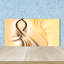 Aleksanteri 50cm W x 100cm L Glass Peel and Stick Panel