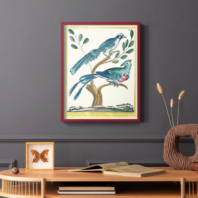 Pastel Birds VI Framed Print - Solid Wood