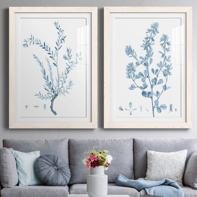 " Antique Botanical In Blue VII " 2 - Pieces Painting Print