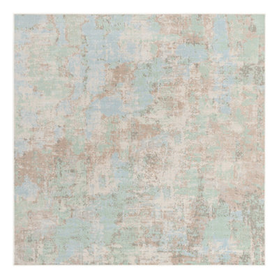 Indoor Rug
