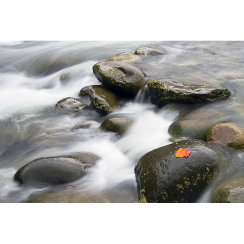 Fall Stream - Wrapped Canvas Print, 20cm H x 30cm W