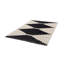 Tapis noir et ivoire moderne