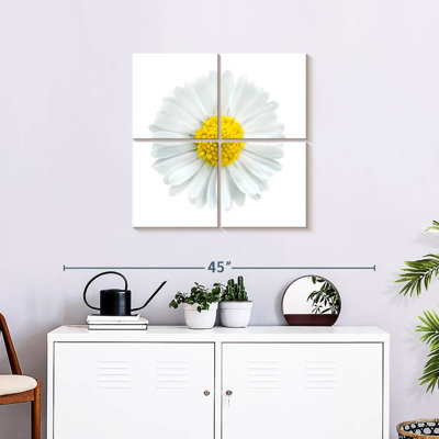 Fleur de camomille blanche