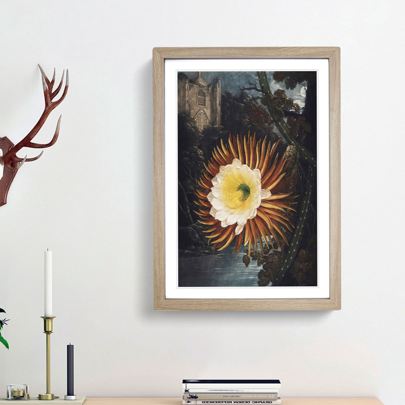 Blooming Cacti by R.J. Thornton - Picture Frame Painting Print, 65cm H x 48cm W x 2cm D, Oak Framed