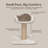 TRIXIE Mica 18-in Cat Tree for Kittens, Sisal Scratching Post, Padded Platform, Dangling Cat Toy