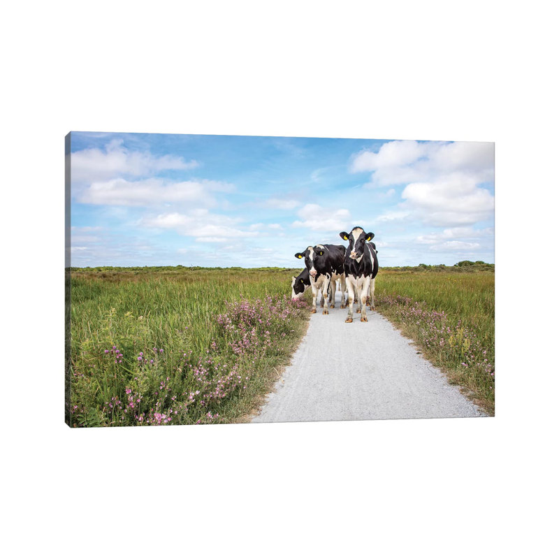 Cows On The Road by Clara Bastian - Wrapped Canvas Print, 20.32 cm H x 30.48 cm W