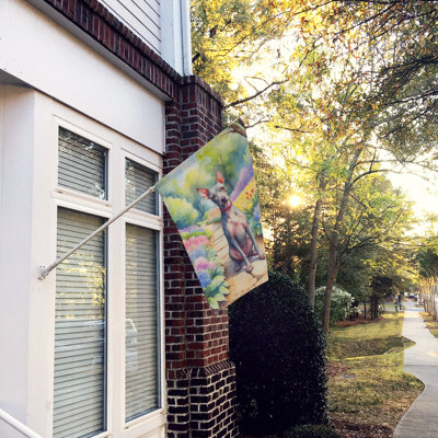 Talaja Double Sided 40'' H x 28'' W Polyester House Flag