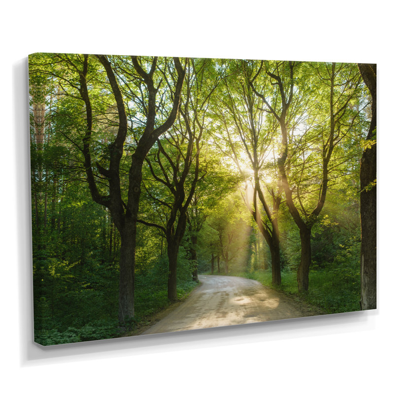 «Evening in Green Forest», art mural sur toile, H 12 po x l 20 po, Toile tendue