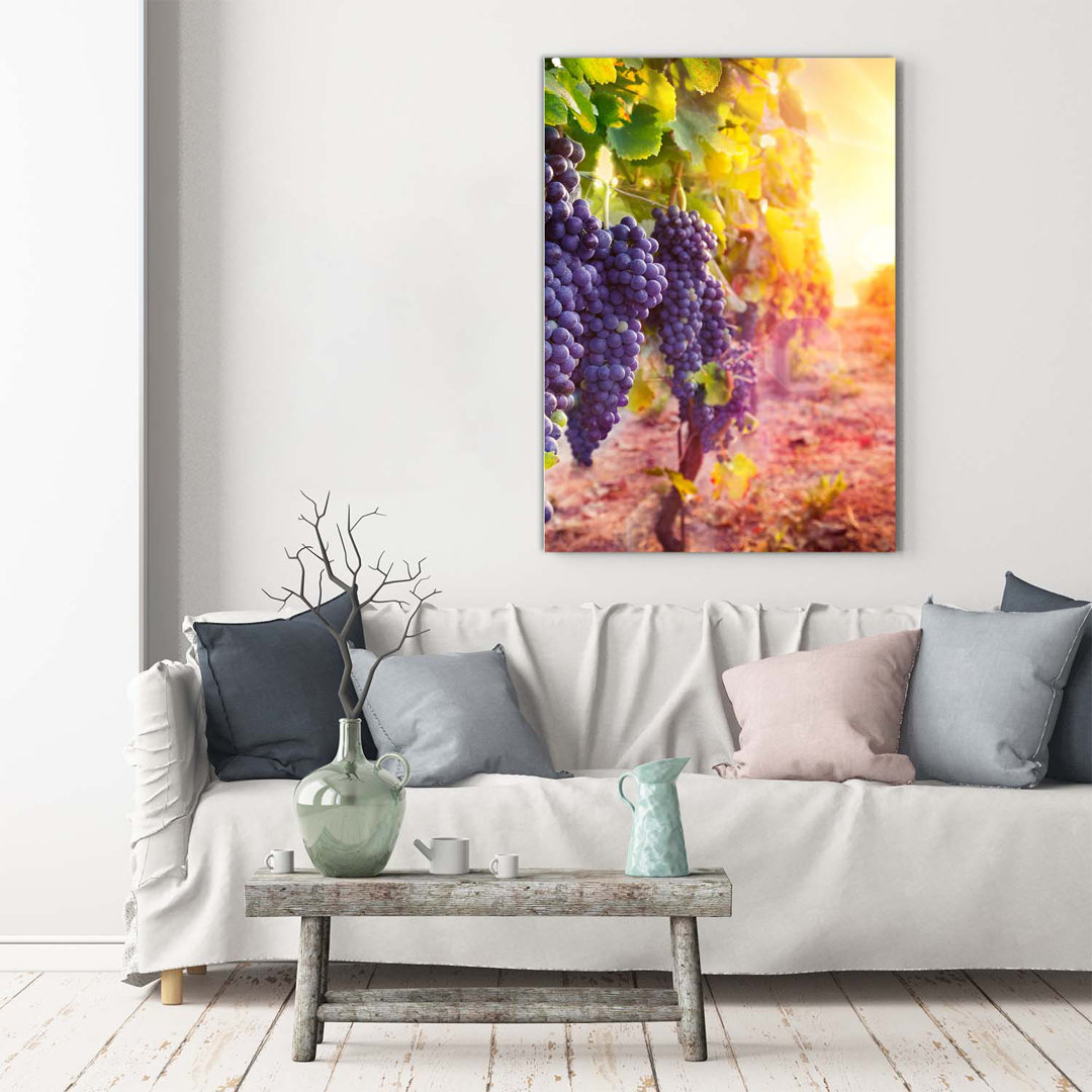 Vineyard - Kunstdrucke auf Leinwand - Wrapped Canvas