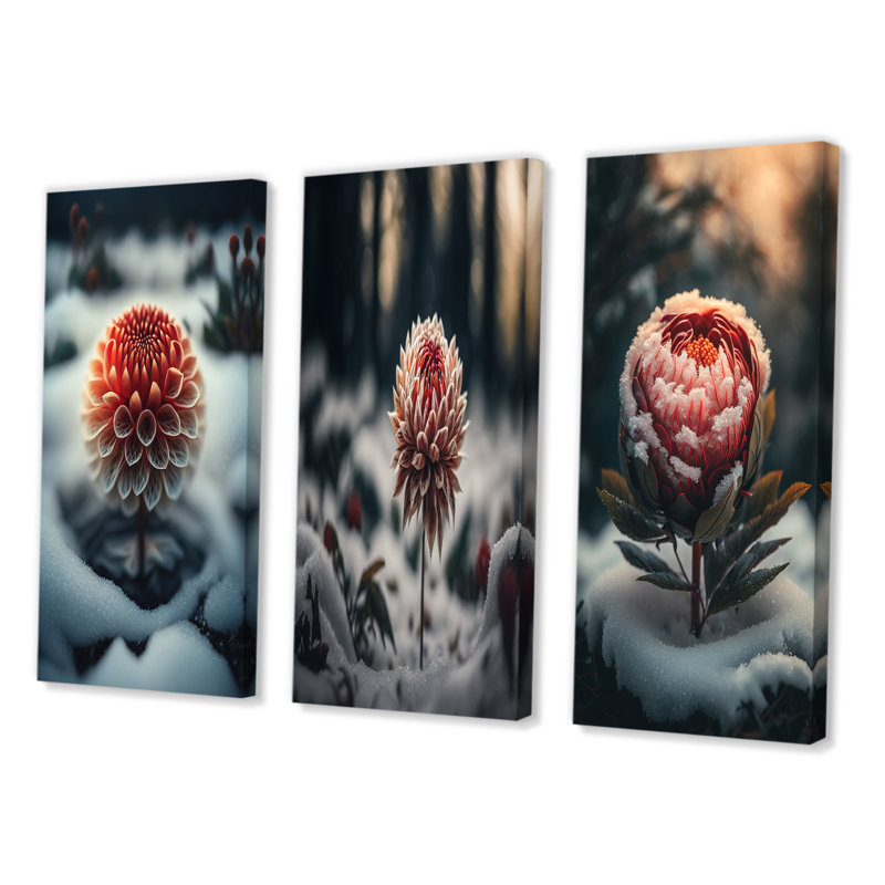 «A Blooming Red Dahlia Flower In Winter», 3 pièces sur toile, Toile tendue, H 40 po x l 60 po