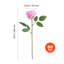 Rose Arrangement