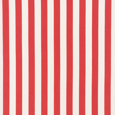 Andy Stripe Fabric