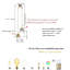 Plafonnier lustre sphérique à 2 lumières avec accents de cristal Loriel réglable en hauteur (1 pièce)-102741412-87909546