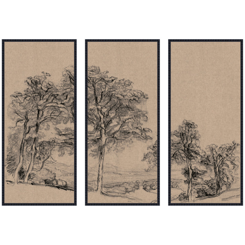 "Sketches Maples Samuel Colman", ensemble de 3 toiles encadrées par le Smithsonian American Art Museum