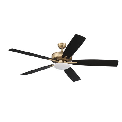 60'' Ceiling Fan with LED Lights