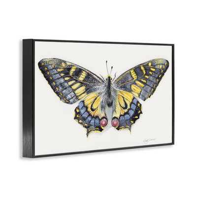Beautiful Symmetrical Moth Wings Framed Giclee, design by Cady Driver