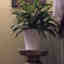 Customer photo 2 of 3