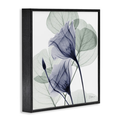 «Serene Tulips & Herbs», dessin par Albert Koetsier