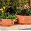 Pot Planter-111647076