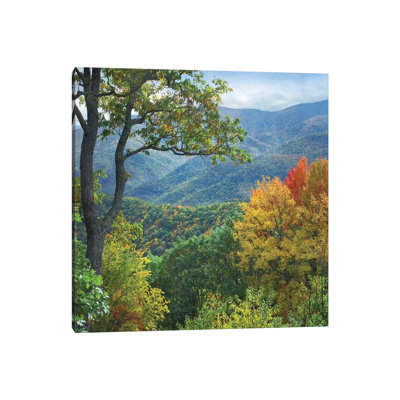 Deciduous Forest In Autumn, Blue Ridge Parkway, North Carolina by Tim Fitzharris - Wrapped Canvas Print