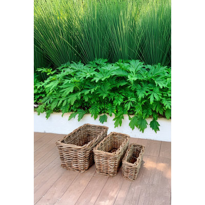 Set Of 3 Grey Rectangle Rattan Baskets